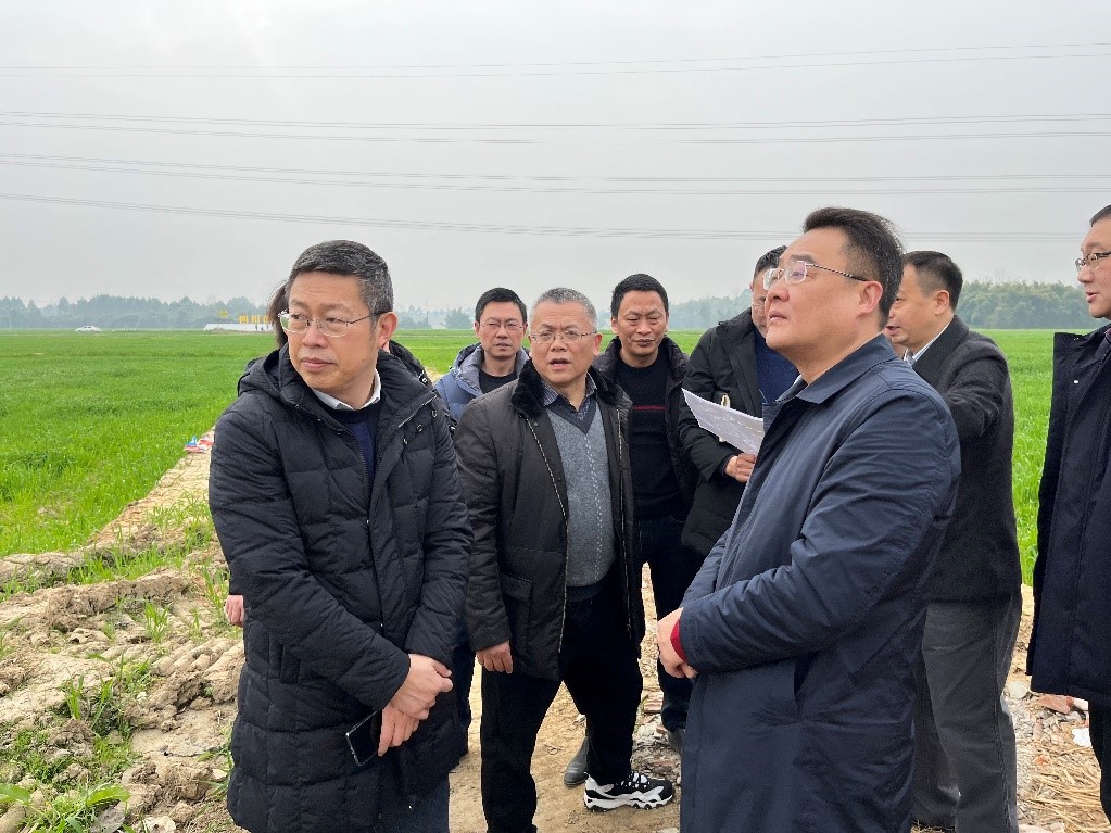 省社、省供投集團領導調研青白江區四川現代供銷種業園區