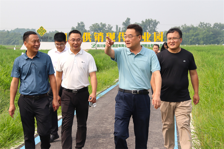 鄧華帶隊到四川供銷糧油青白江種植基地、好世紀倉儲龍泉庫調研