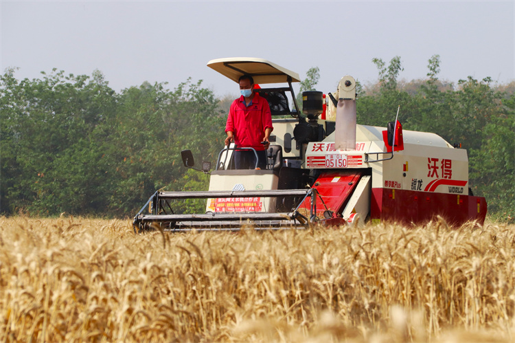 1652176630442960.jpg IMG_3986_副本.jpg