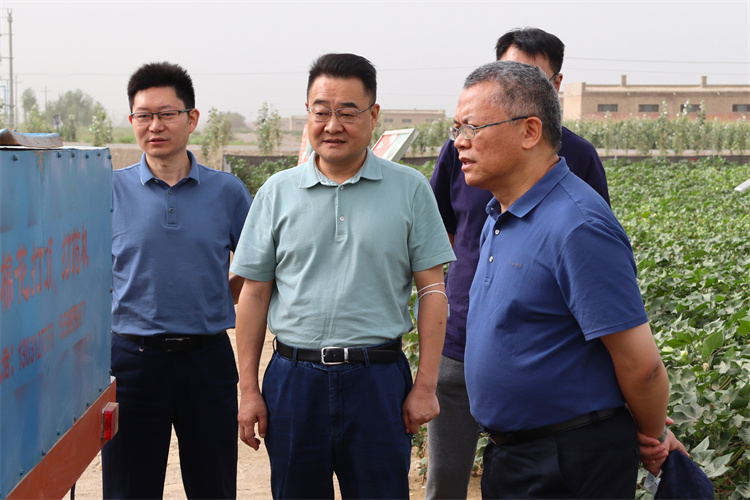 1659492667619406.jpg mtxx09.jpg