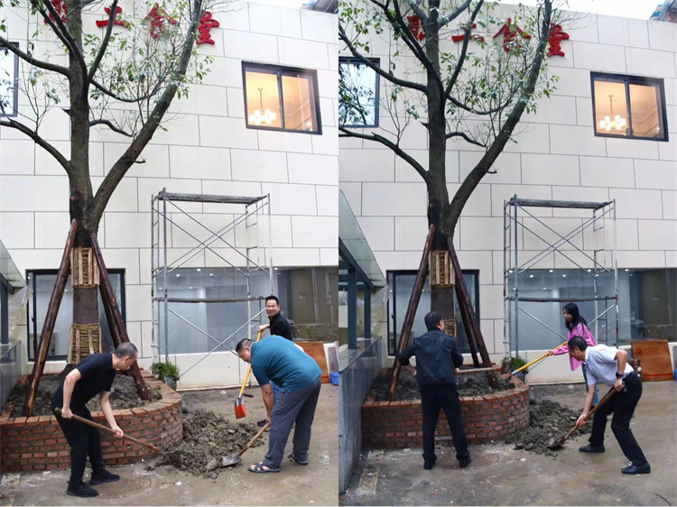 1663990664147958.jpg 3da5efd67b867157aa732fe4bbfd50e.jpg