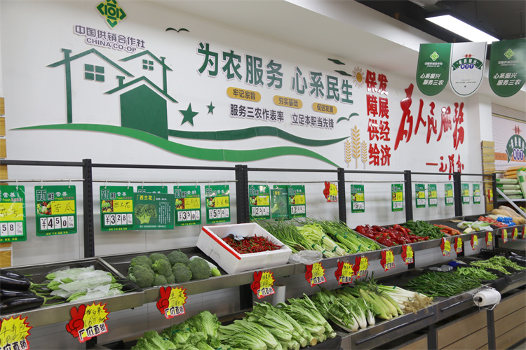 1678977255263901.jpg 圖片3.jpg